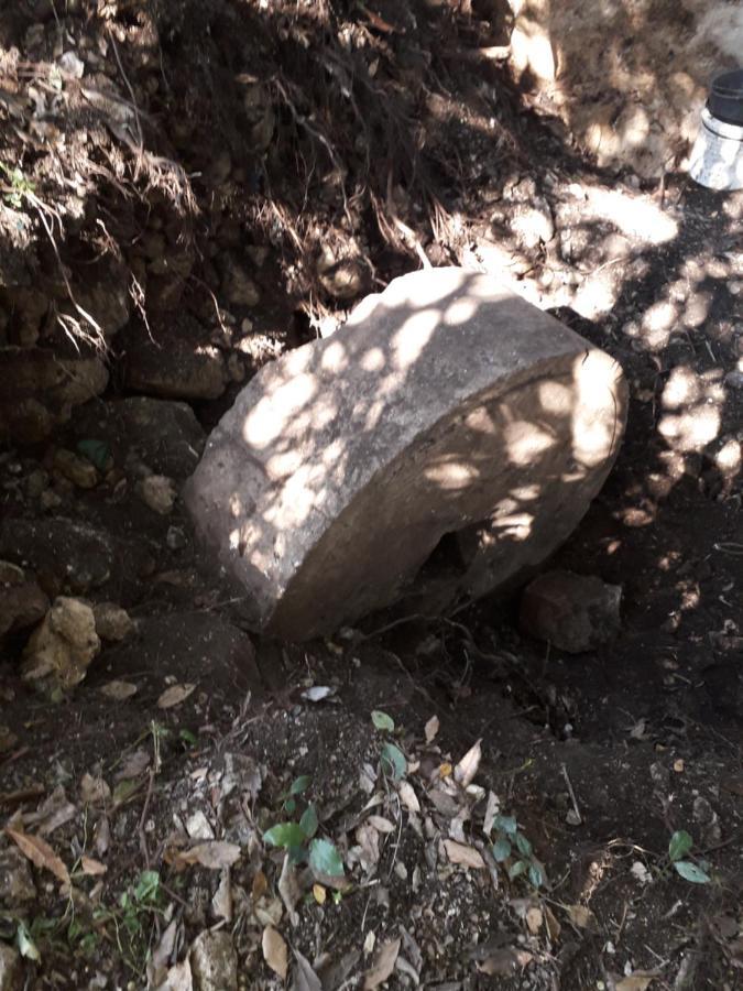 Kamp Seosko Domacinstvo Radman Hotell Herceg Novi Exteriör bild