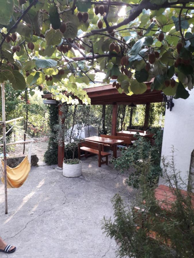 Kamp Seosko Domacinstvo Radman Hotell Herceg Novi Exteriör bild